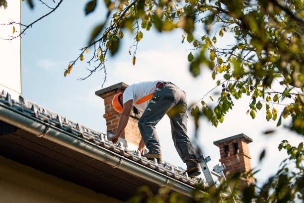 Best Storm Damage Roof Repair  in Palm Bay, FL