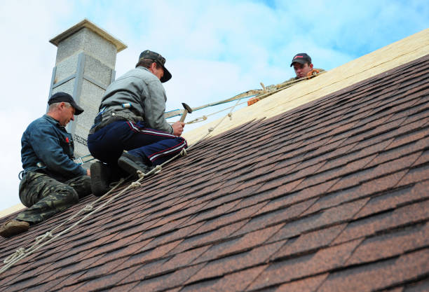 Roof Gutter Cleaning in Palm Bay, FL